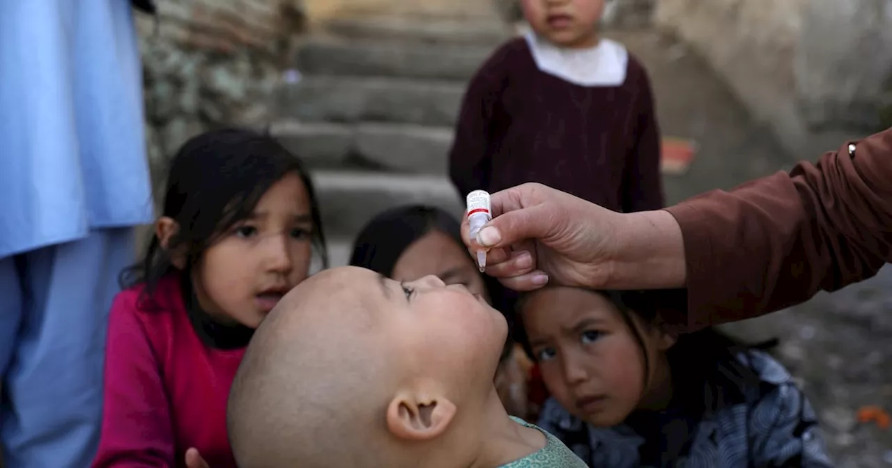 Talibán suspende campañas de vacunación contra la polio en Afganistán