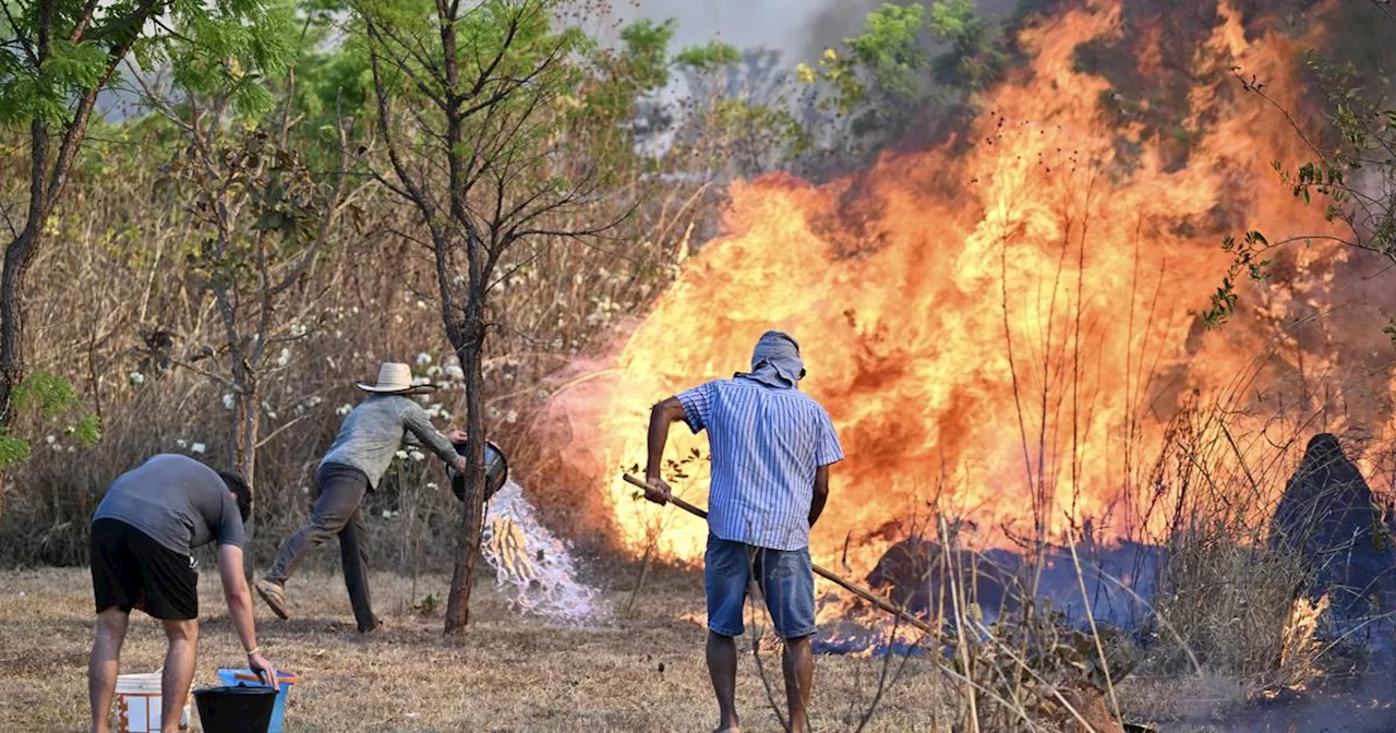 Brésil: la vague d'incendies touche le parc national de la capitale Brasilia