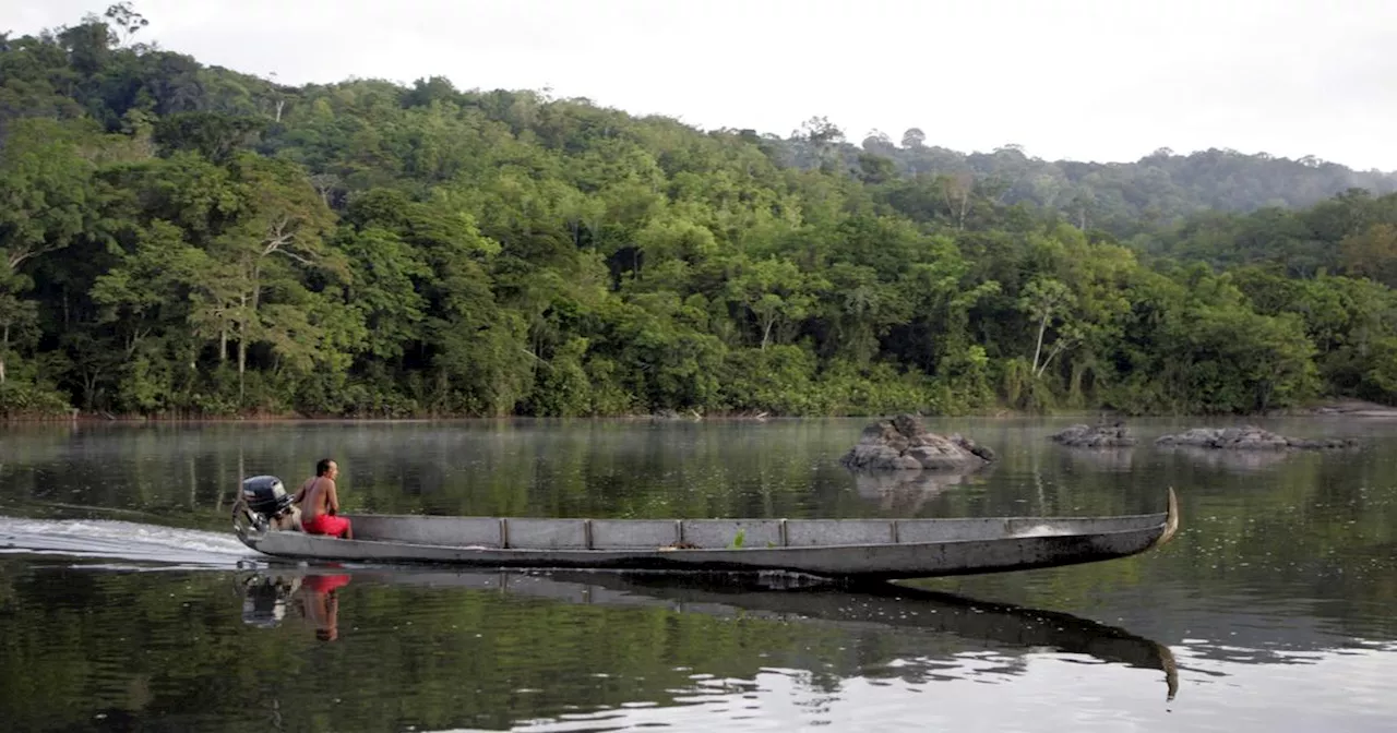 Le combat pour ramener en Guyane les dépouilles d'Amérindiens conservées au musée de l'Homme