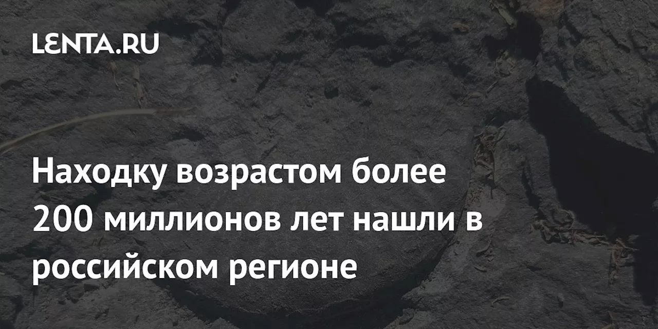 Находку возрастом более 200 миллионов лет нашли в российском регионе