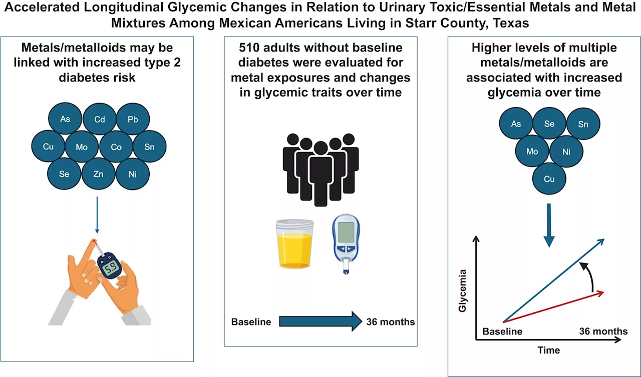 Arsenic exposure linked to faster onset of diabetes in south Texas population