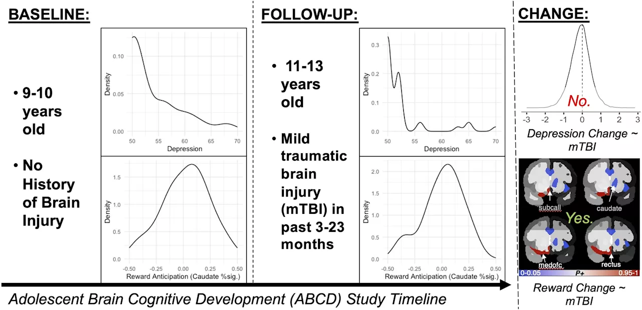 Traumatic brain injury research in youth suggests that mild TBI does not precipitate or worsen depression