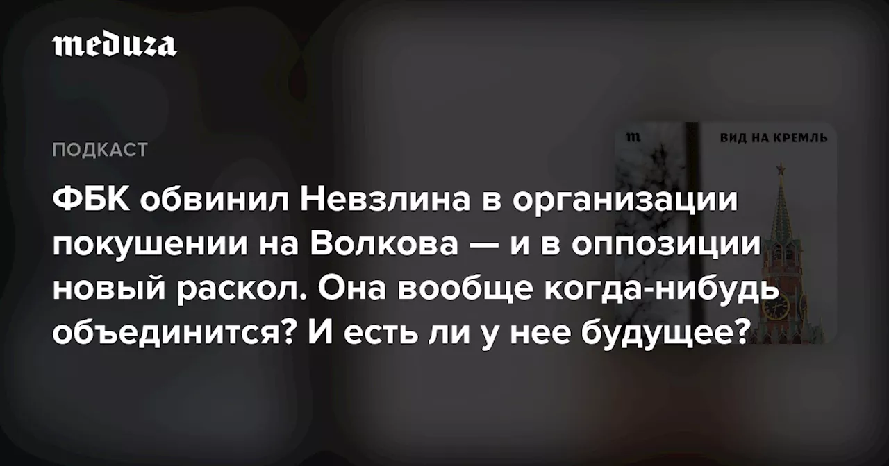 ФБК обвинил Невзлина в организации покушении на Волкова — и в оппозиции новый раскол. Она вообще когда-нибудь объединится? И есть ли у нее будущее? — Meduza