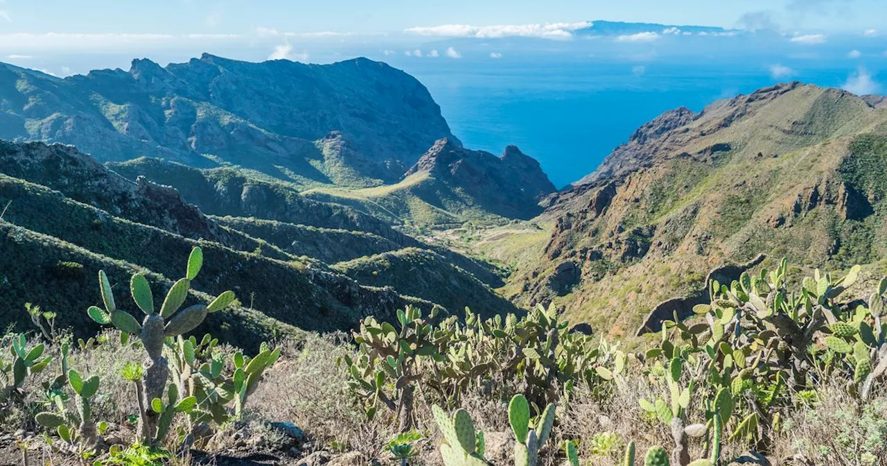 Canary Islands holiday fears as tourist spots devastating detail in street