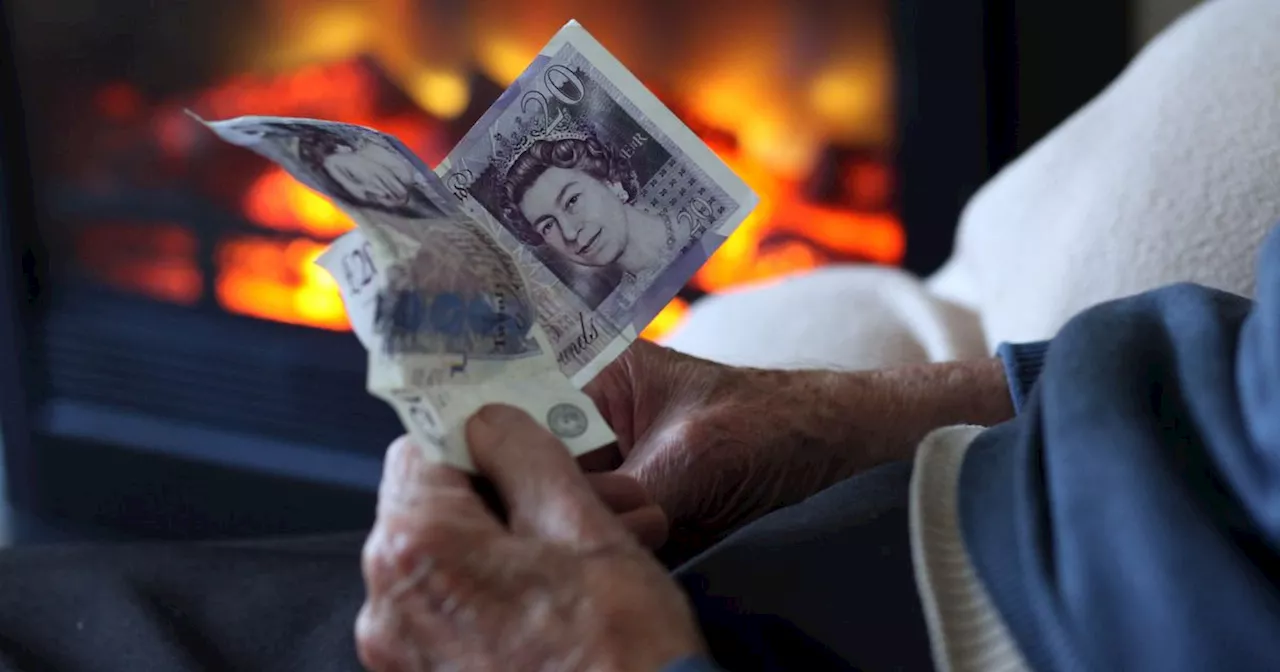 Ovo and Octopus will help pay energy bills amid Winter Fuel Payment changes