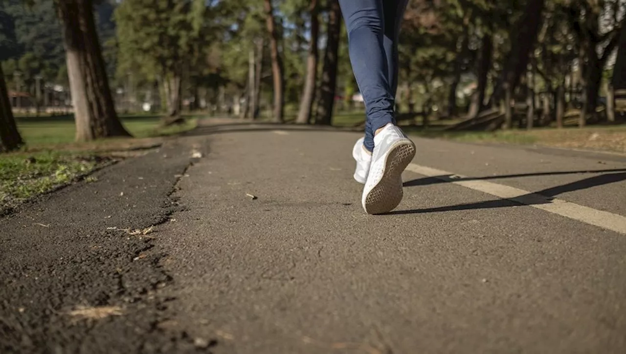 Deux joggeuses découvrent une jambe en décomposition : des restes humains anciens retrouvés quelques mètres pl