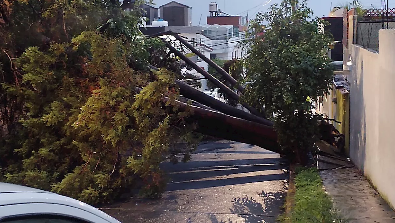 Lluvias provocan afectaciones en Edomex; suspenden servicio del Mexibús L4