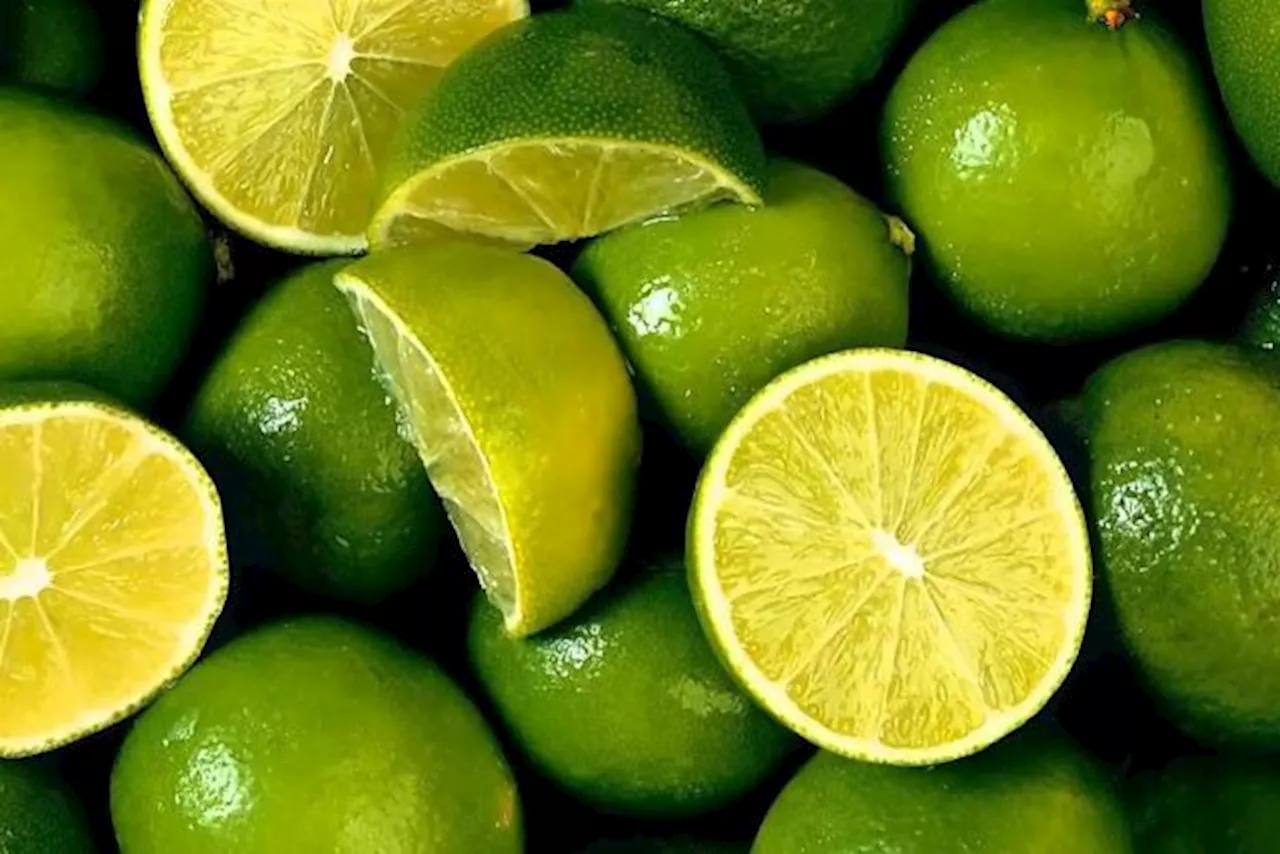 Paro de limoneros se mantiene en Buenavista y se extiende a Apatzingán