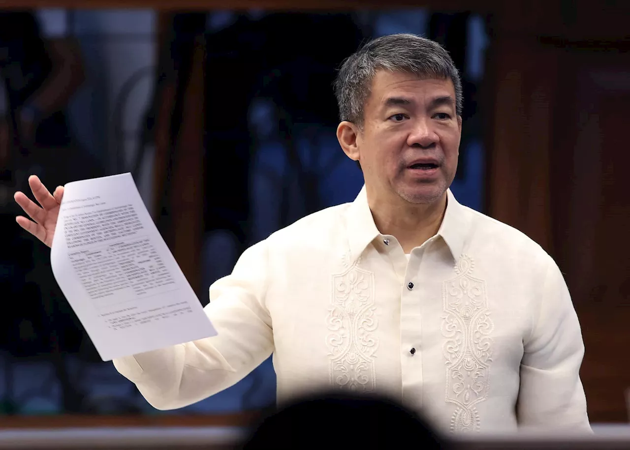 Pimentel objects to 'misguided' VAT refund bill