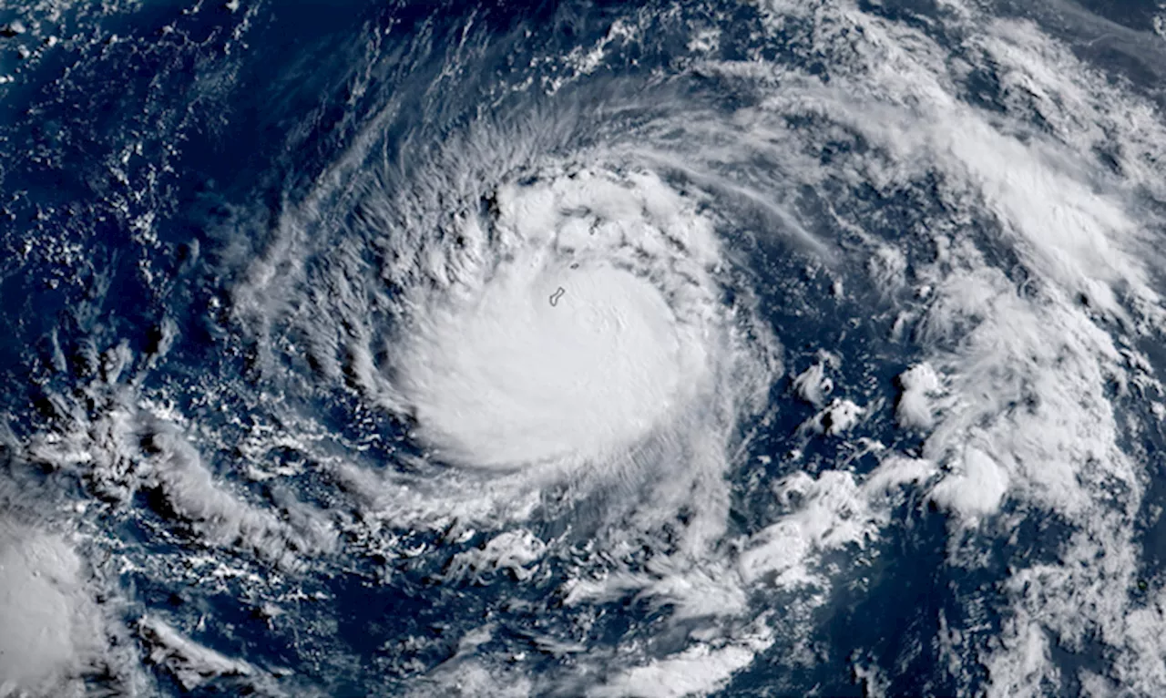 Strongest typhoon to strike Shanghai shuts down city