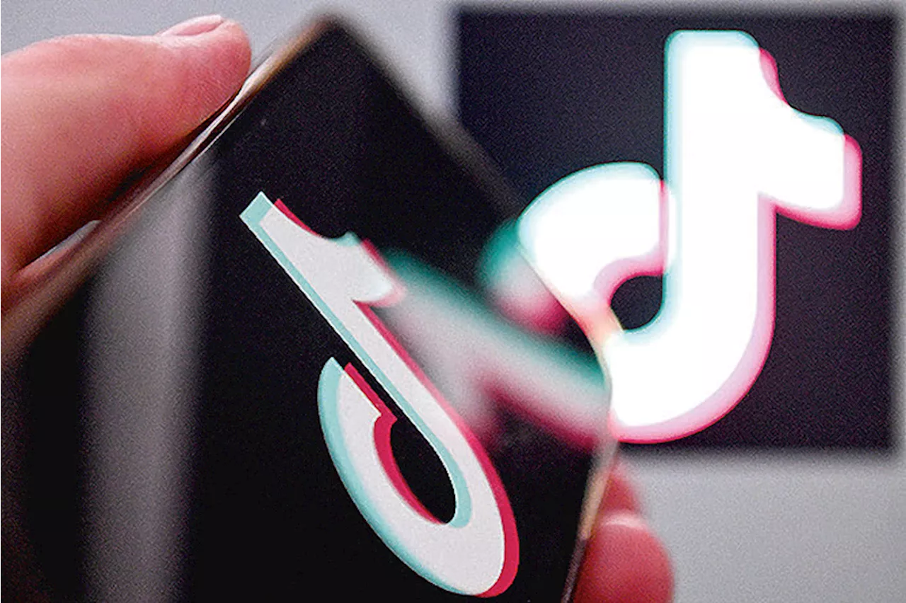 TikTok battles US ban threat in court