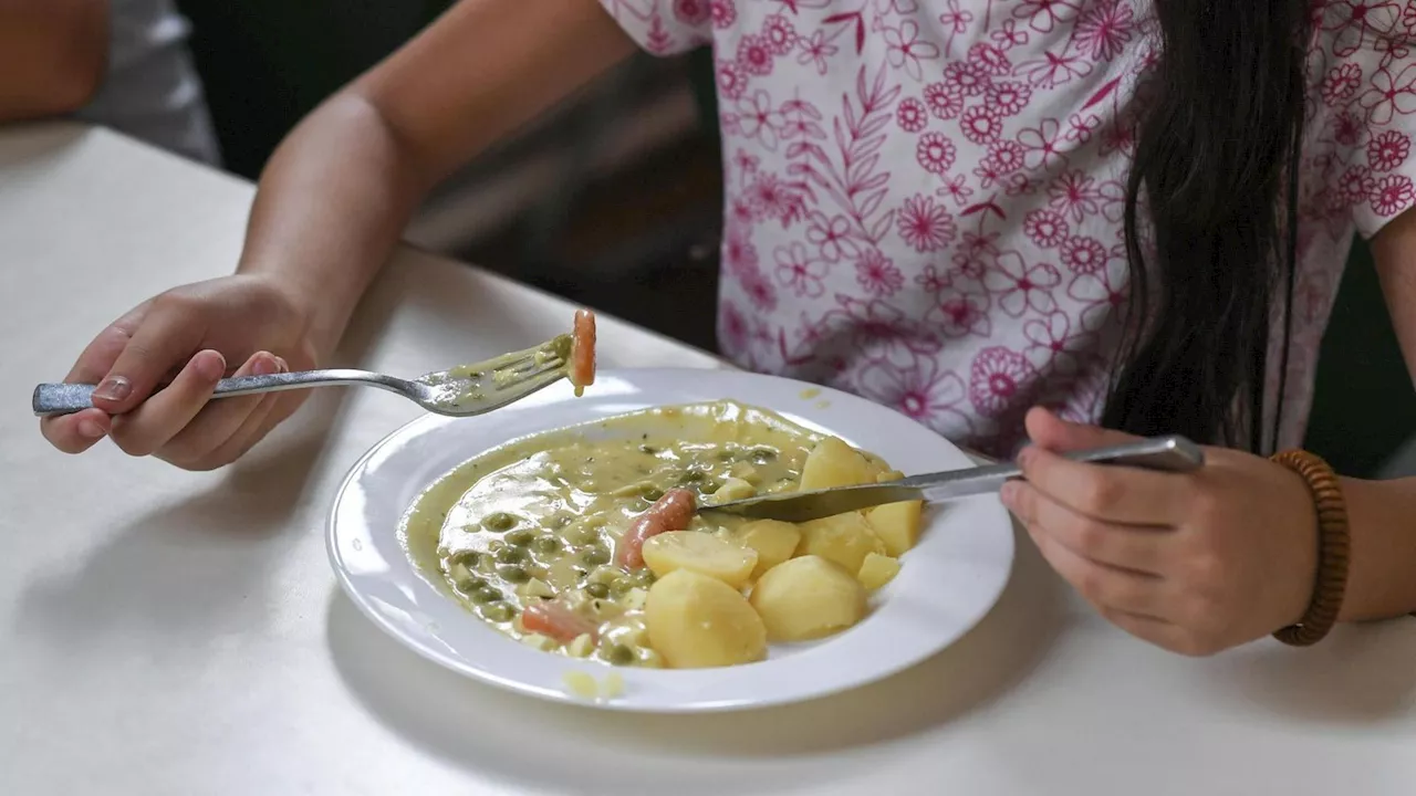 Schulessen-Caterer entschuldigt sich – und zieht Konsequenzen