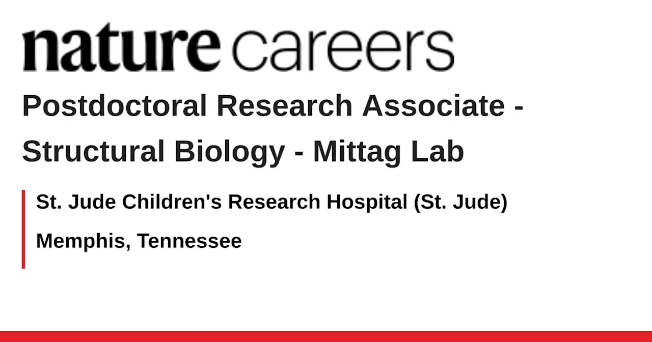 Postdoctoral Research Associate -Structural Biology - Mittag Lab - Memphis, Tennessee job with St. Jude Children&#39;s Research Hospital (St. Jude)