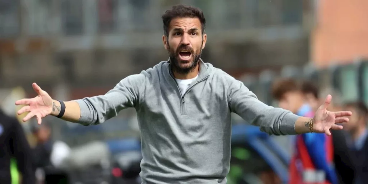 Cesc Fabregas: Fliegt Weltmeister bald aus Schweizer Wohnung?