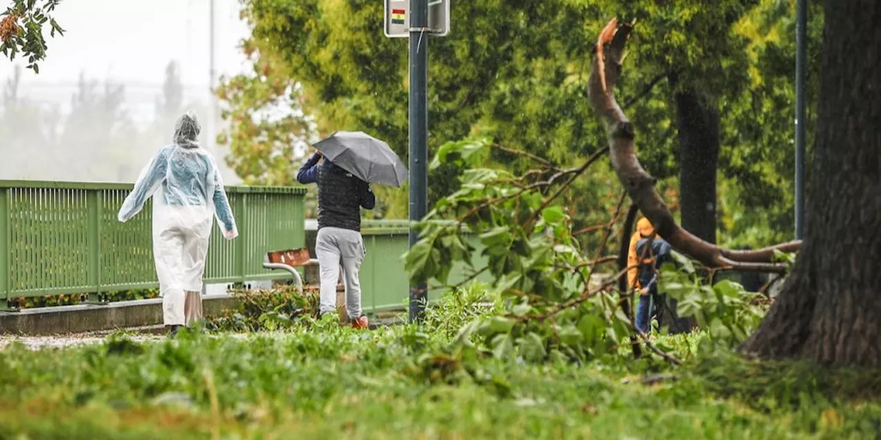 Unwetter in Wien: Öffentlicher Verkehr stark betroffen