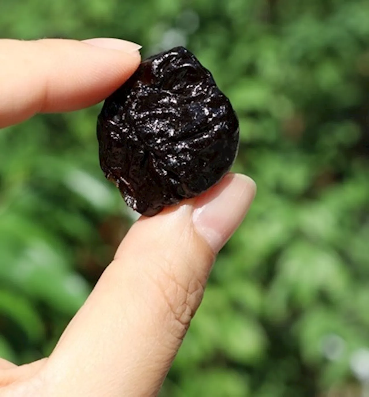 Daily prunes may help reduce bone loss in young women using oral contraceptives