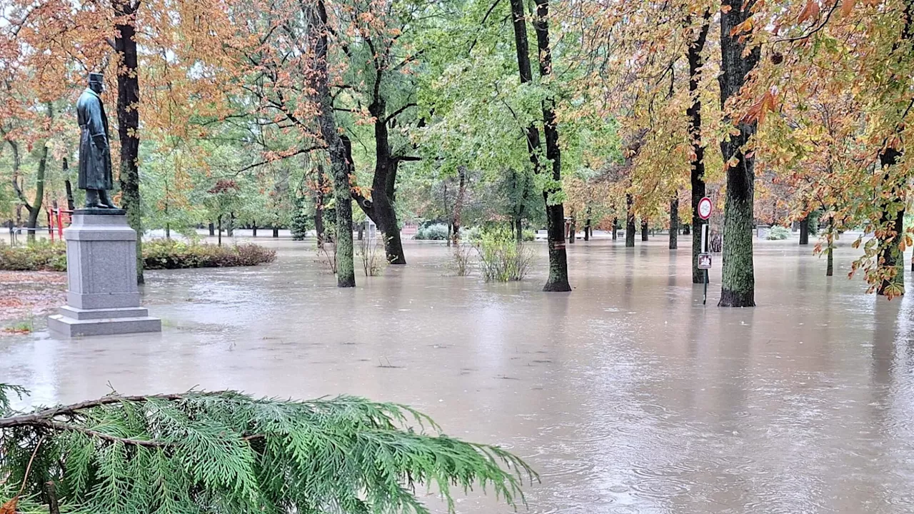 Bad Deutsch-Altenburg: Donau setzt Kurpark unter Wasser