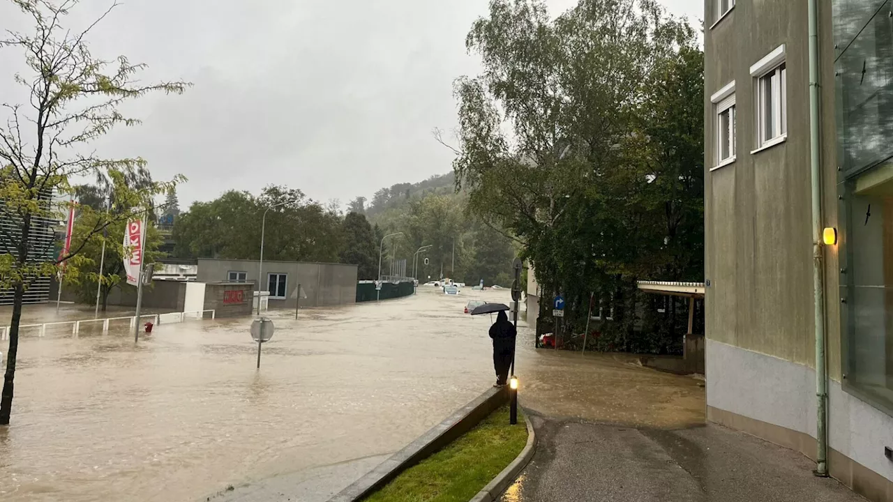 Pumpen, pumpen, pumpen - „Land unter“ in der Region Purkersdorf