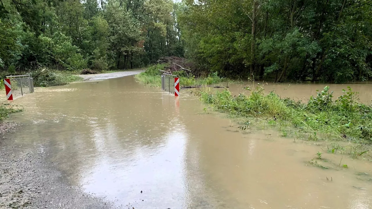 Rohrau: Hochwasser-Lage an der Leitha wird kritisch