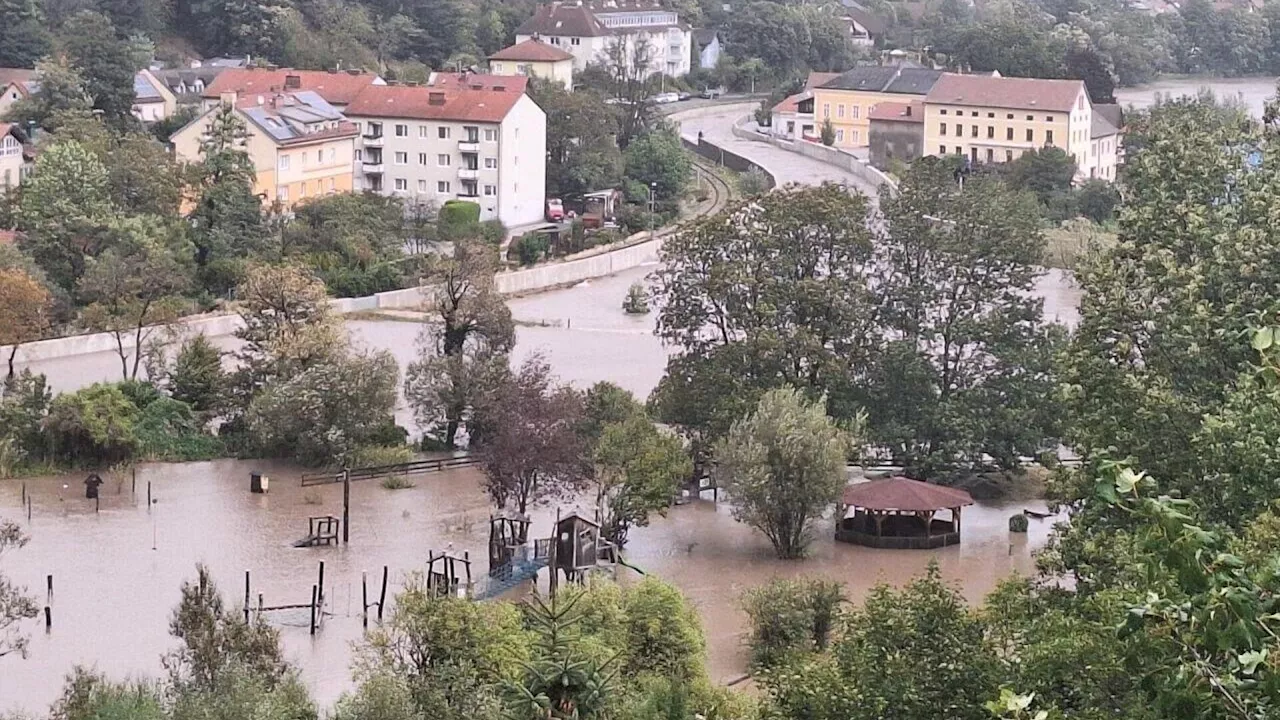 Unwetter sorgen für Überschwemmungen in Waldegg