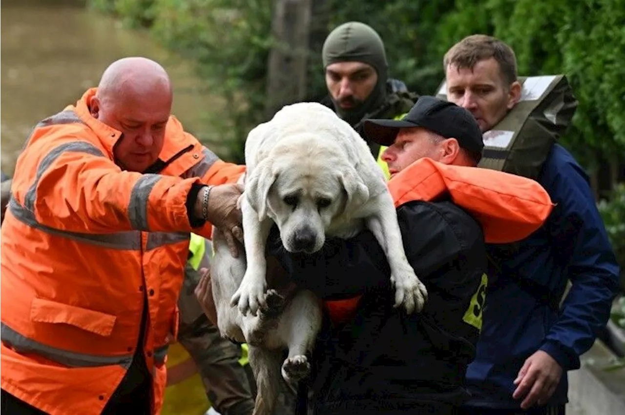 Dans le sillage de la tempête Boris, un paysage de désolation