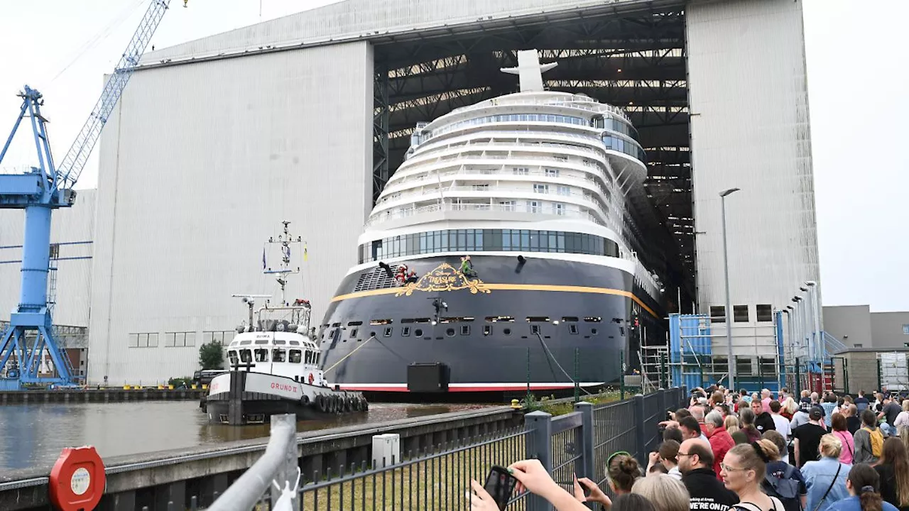 Meyer Werft ist gerettet: Warum steigt der Staat beim Bau von Kreuzfahrtschiffen ein?