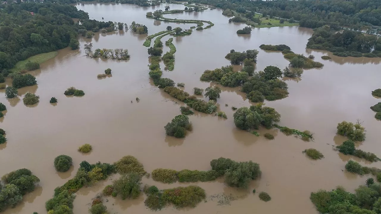 Sachsen: Leichte Entspannung bei Hochwasserlage in Sachsen