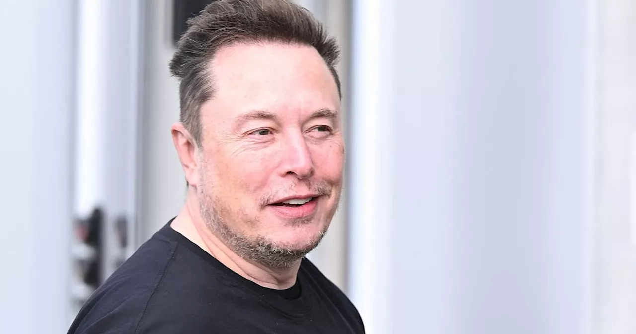 Musk provoziert nach mutmaßlichem Attentatsversuch auf Trump