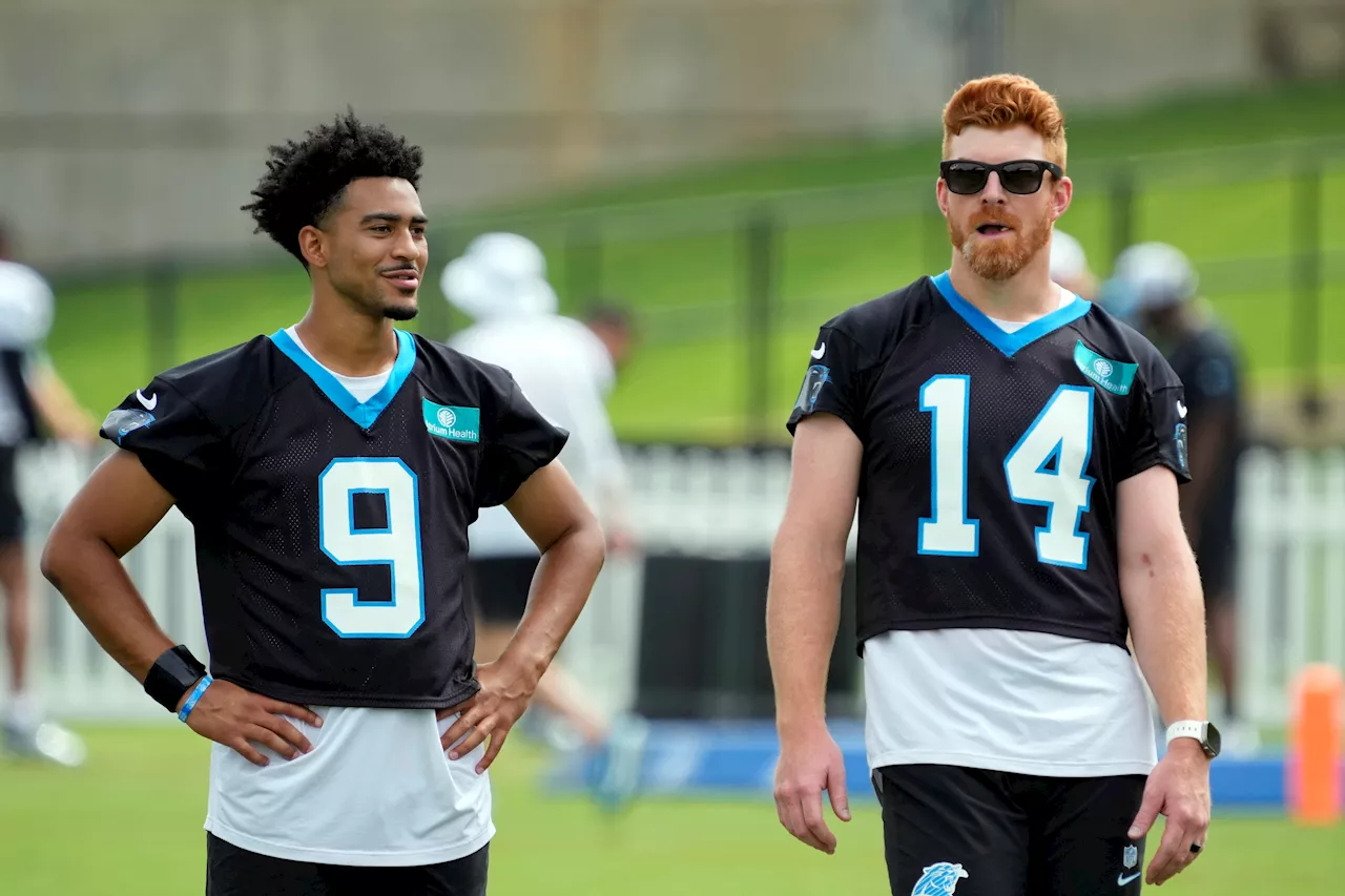 Panthers already benching Bryce Young for Andy Dalton after horrendous start