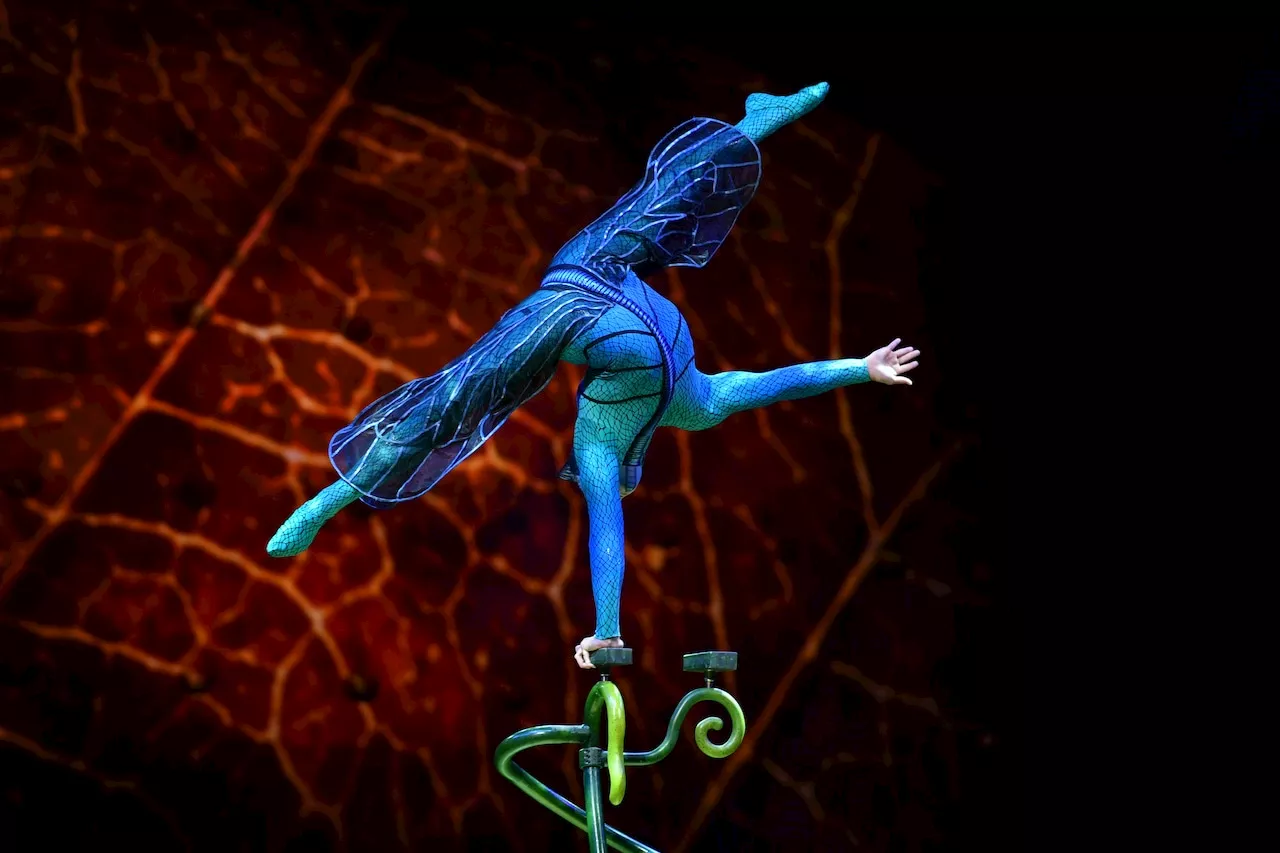 Cirque du Soleil returning to Hershey next year: When and where to buy tickets