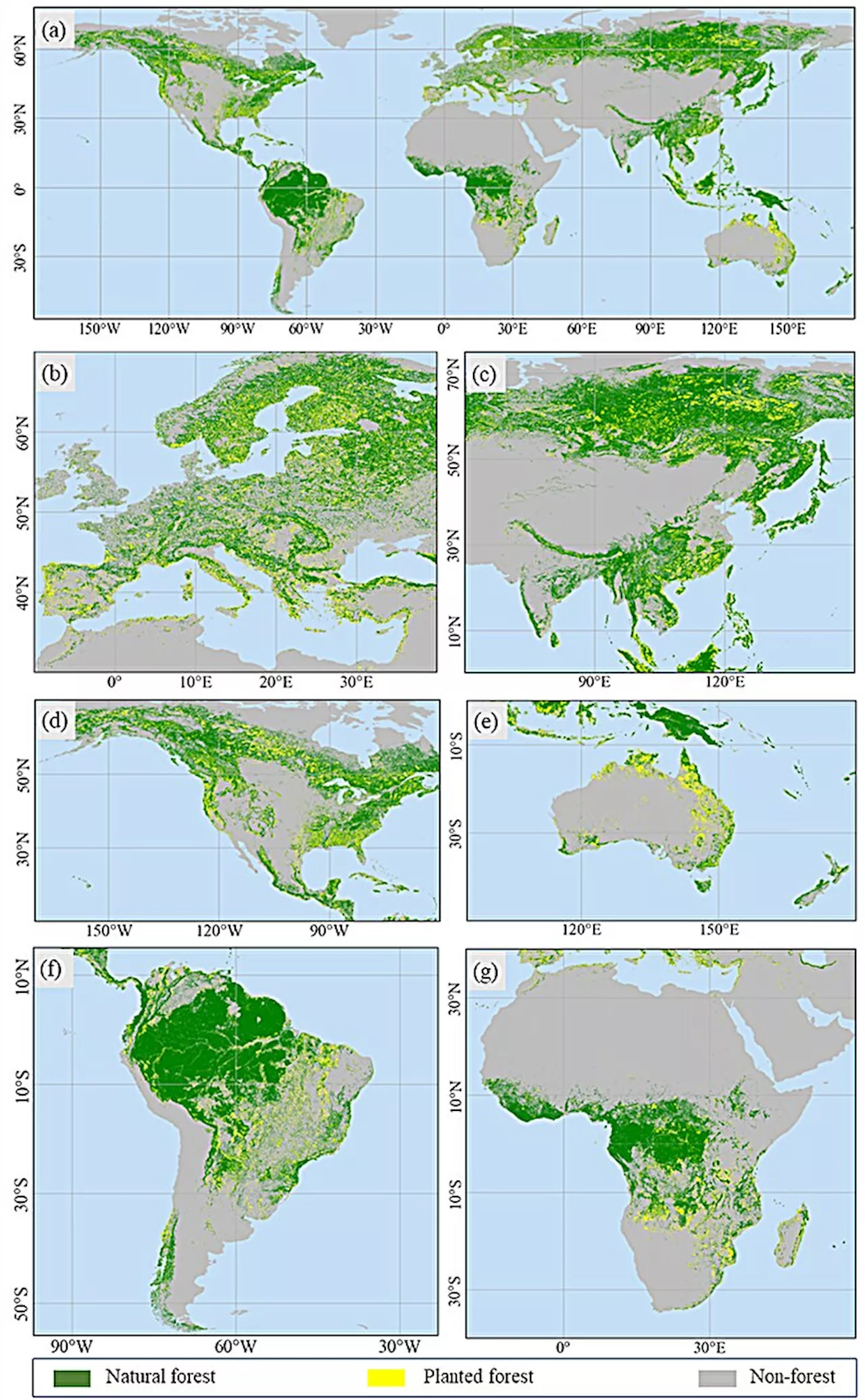 Researchers use training model to map planted and natural forests via satellite image