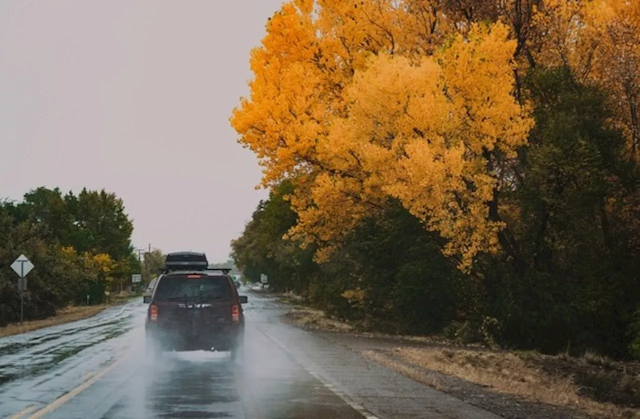 Die beliebtesten Automarken und Modelle für einen Autoverkauf im Herbst