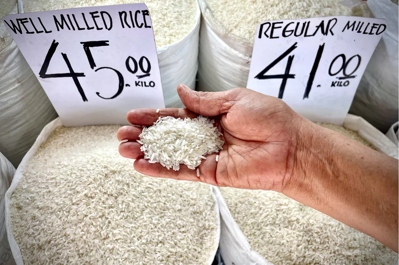 Congested ports hinder rice prices from going down