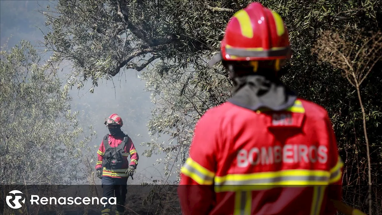 A43 cortada em trânsito nos dois sentidos em Gondomar