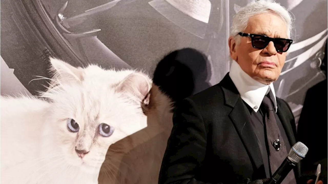 Why Wealthy People Are Leaving Their Fortune to Their Pets