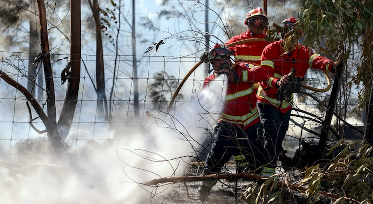 Incêndios em Portugal. A situação ao minuto