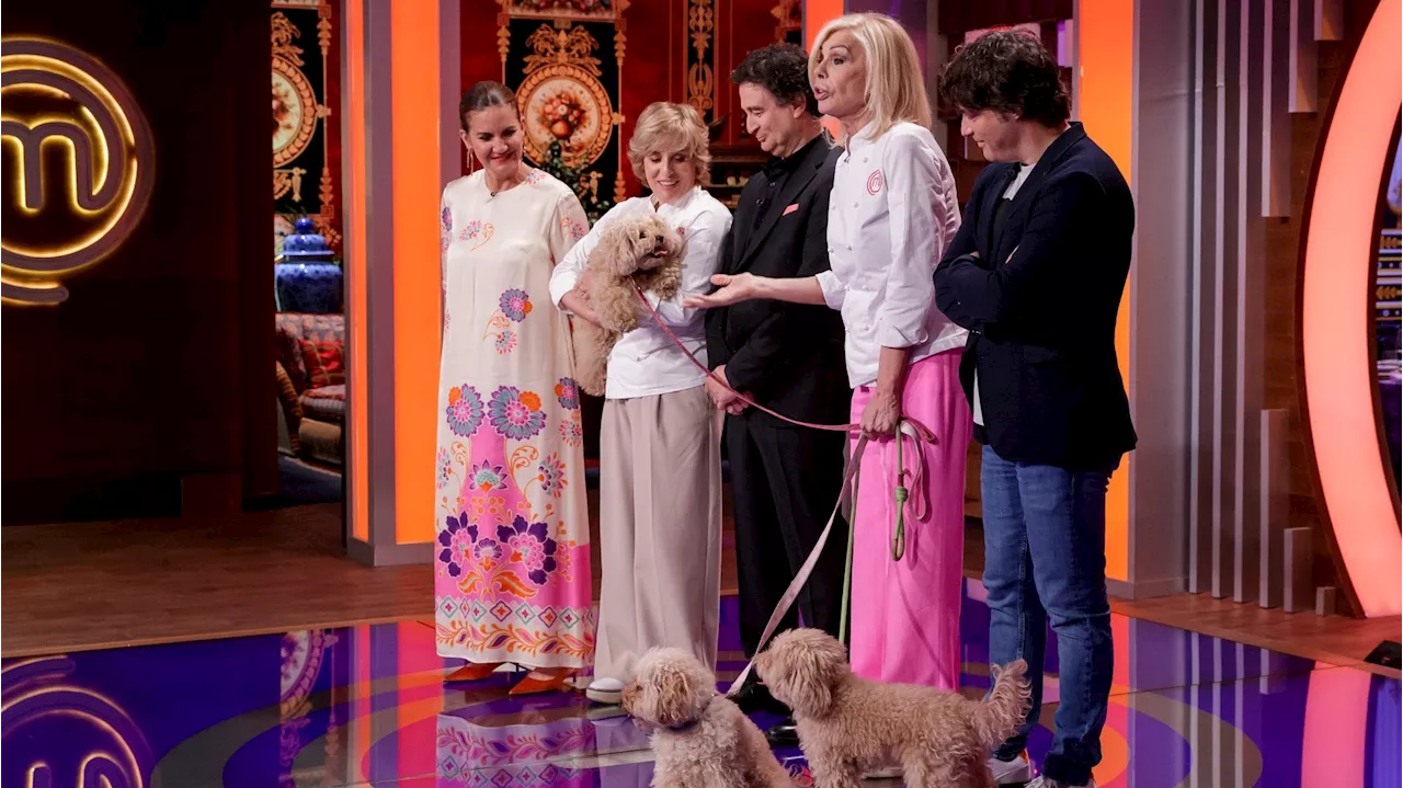 'MasterChef Celebrity' cocinará por primera vez para perros