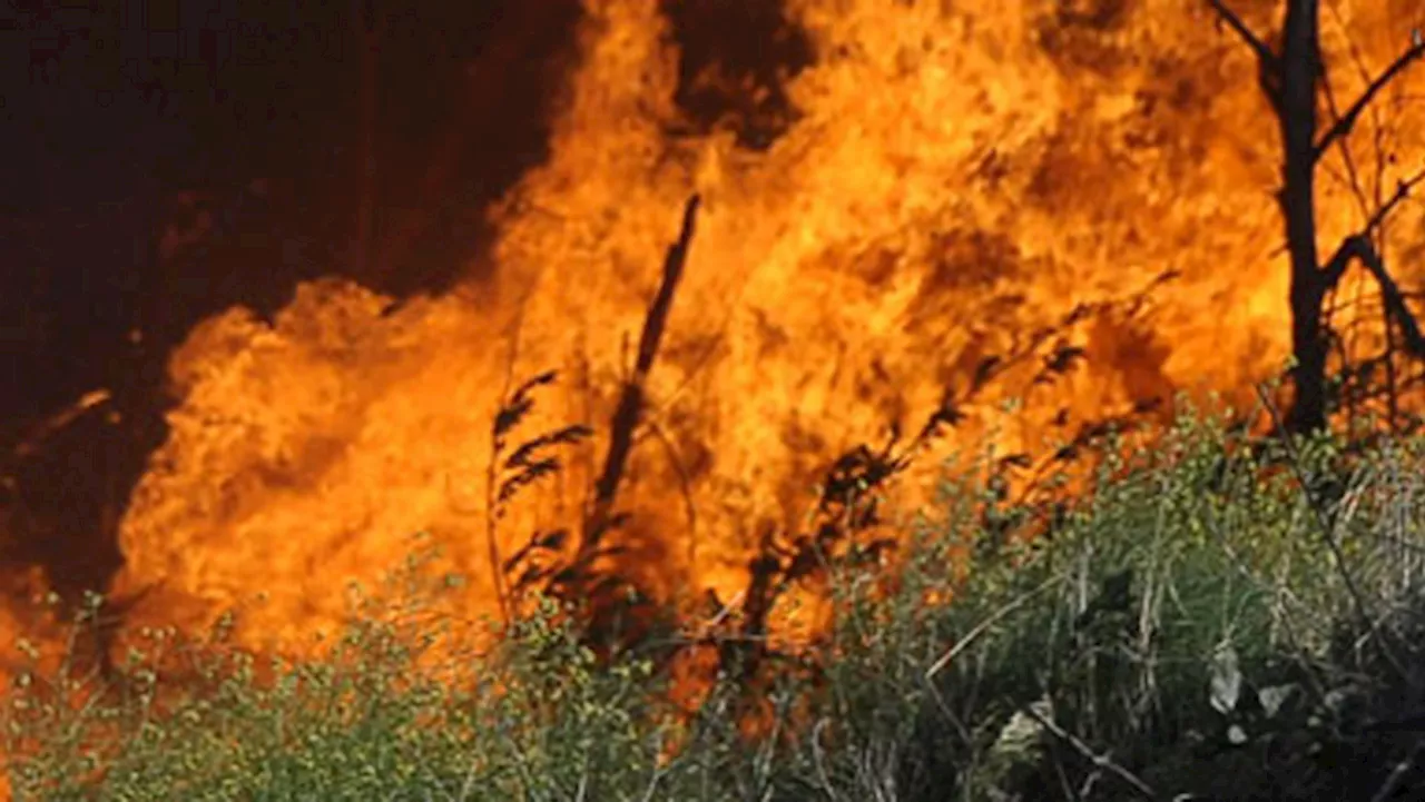 Wildfires in NW trigger calls for State of Disaster in the province - SABC News - Breaking news, special reports, world, business, sport coverage of all South African current events. Africa's news leader.