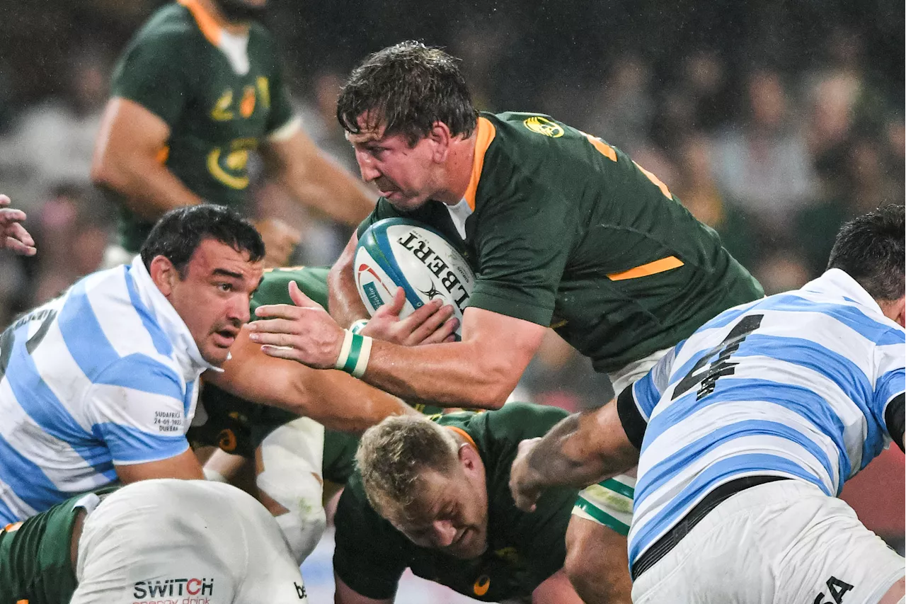 Boks braced for predatory Pumas