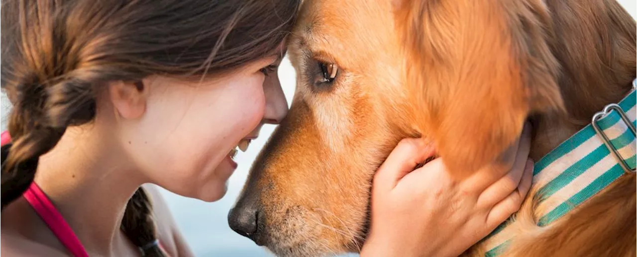 Human And Dog Brain Activity Sync Up In New Study