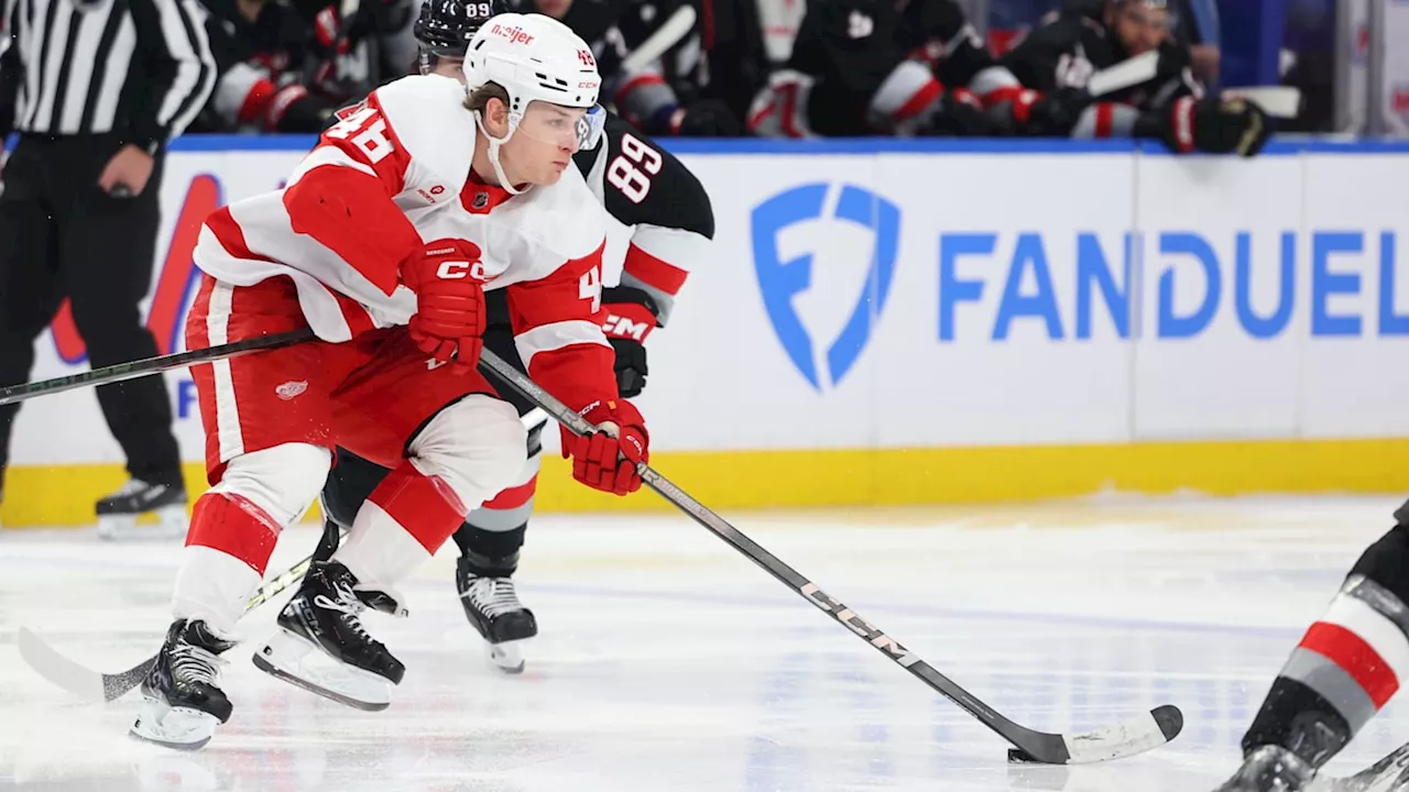 Detroit Red Wings Re-Sign Forward to One-Year Deal