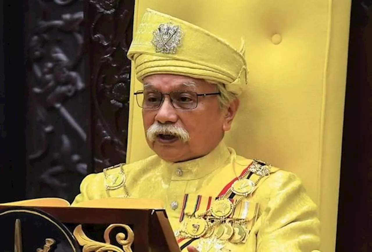 Tuanku Muhriz expresses regret, sadness over reports of child exploitation