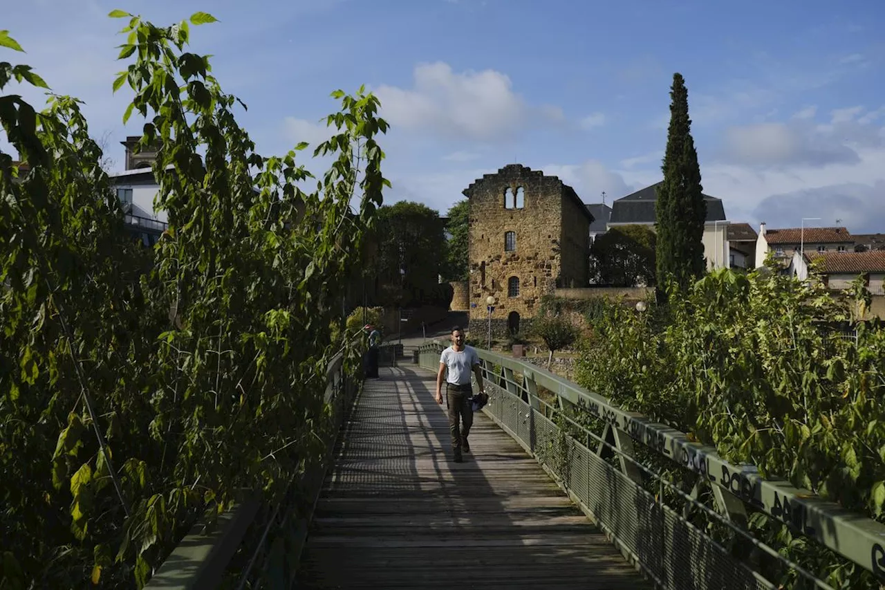 Mont-de-Marsan : la passerelle des musées sera bientôt remplacée