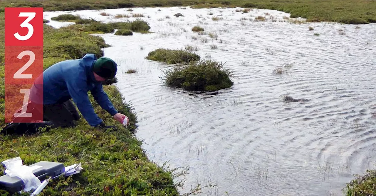 Här letar forskarna nanoplaster i fjällsjöar i Dalarna och Jämtland