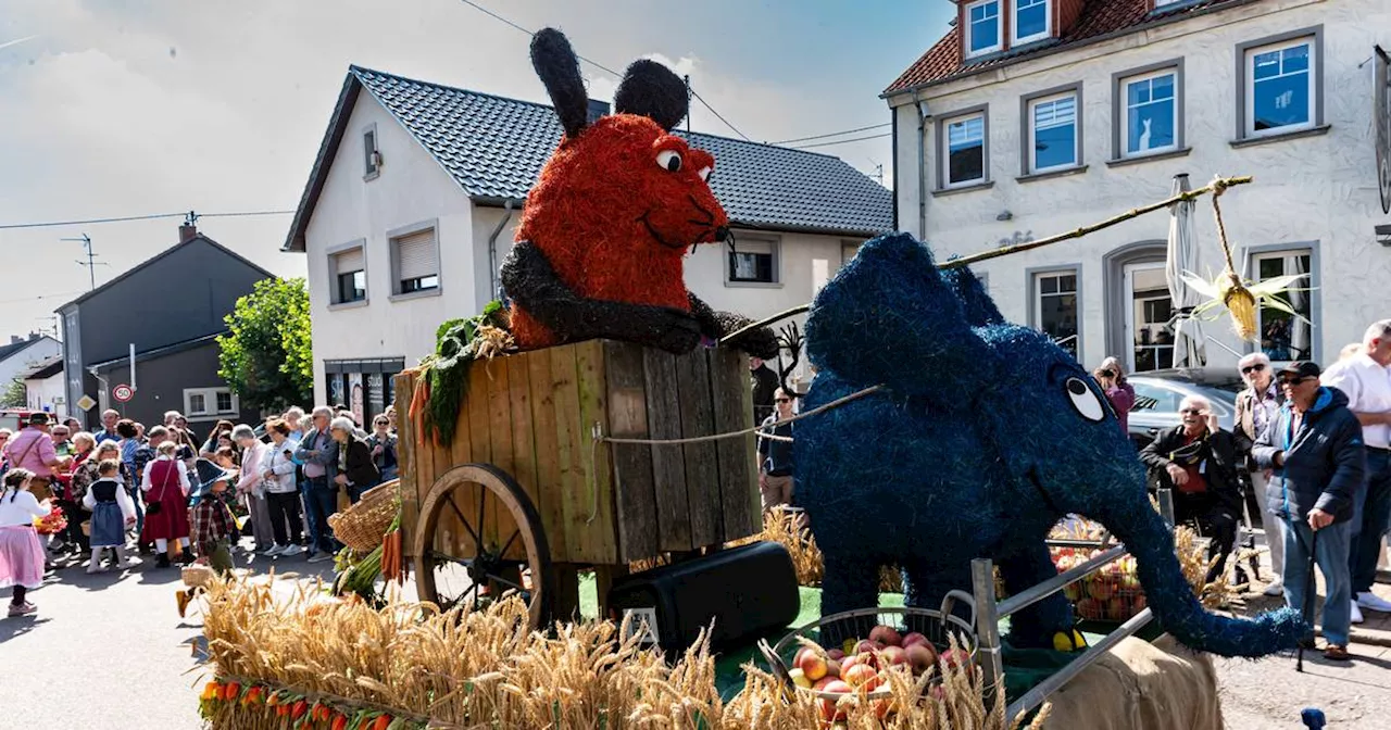 So schön war der große Erntedankumzug in Orscholz