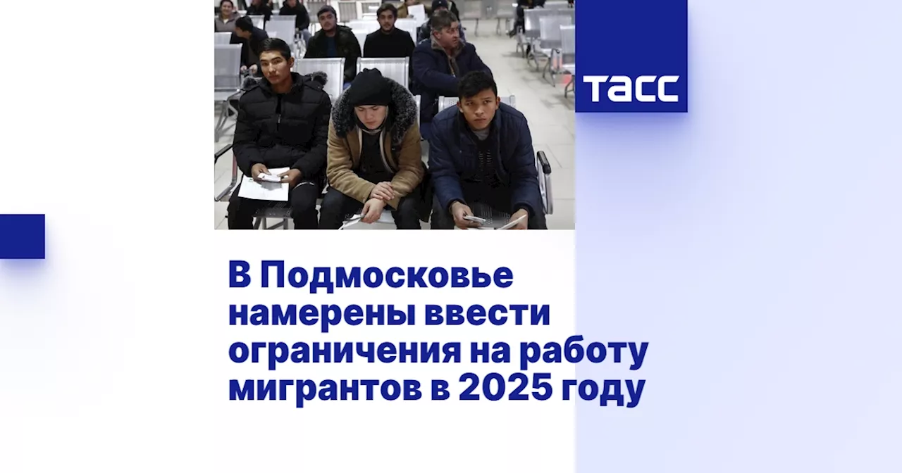 В Подмосковье намерены ввести ограничения на работу мигрантов в 2025 году