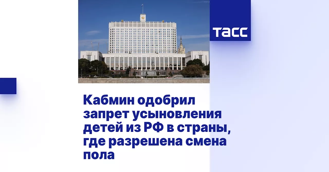 Кабмин одобрил запрет усыновления детей из РФ в страны, где разрешена смена пола