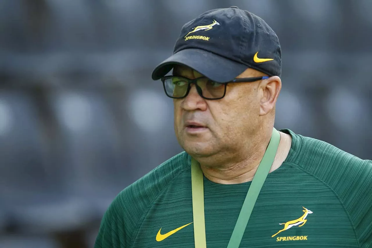 Full bill of health for Springboks against Argentina