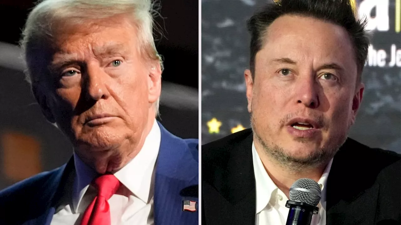 Elon Musk's Dangerous Conspiracy Theory After Trump Golf Club Shooting Attempt