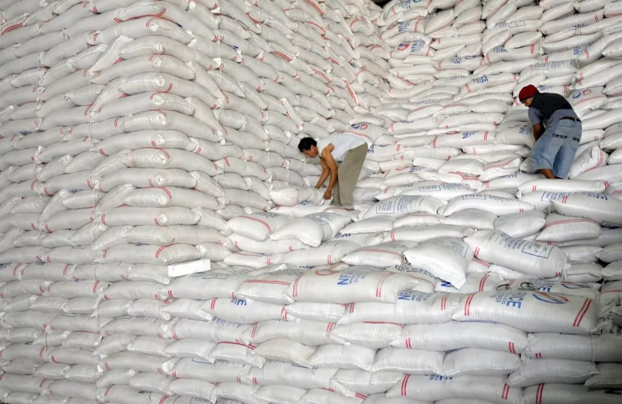 National rice inventory 14.4% higher in August